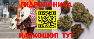 эйфоретик Тара