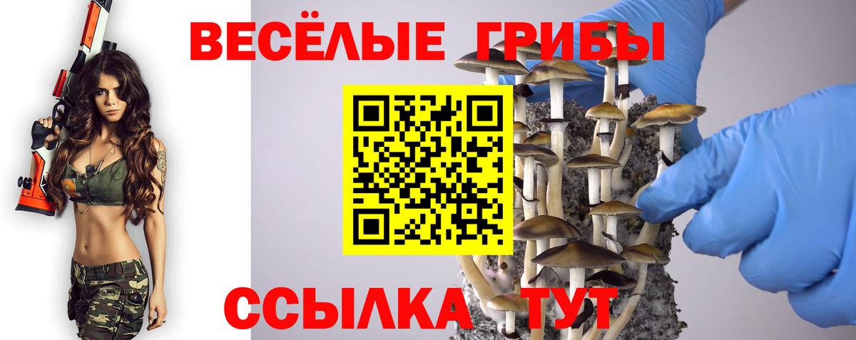 дарнет шоп  Вход с VPN  Красноуфимск  Галлюциногенные грибы прущие грибы 